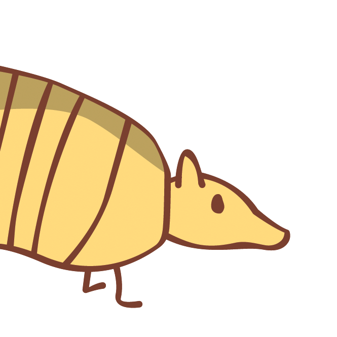 Armadillo