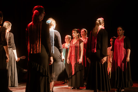 Flamenco - Cours Adultes Intermédiaires